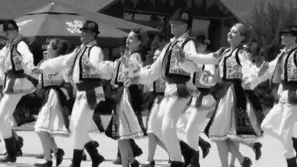 Moldavie Cahul 2021 Beaux Garçons Filles Sautant Tenant Main Costumes — Video