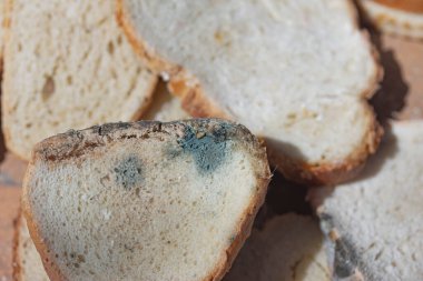 Birkaç dilim küflü beyaz ekmek yakın plan..