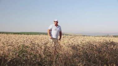 Üzerinde Sovyet kırmızı yıldızı olan beyaz şapkalı bir adam saklanıyor ve çavdarla tarladan kaçıyor..
