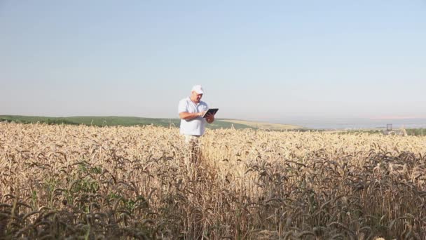 一个头戴白帽 手上拿着笔记本电脑 头戴苏联红星的男人 带着黑麦走过田野 — 图库视频影像