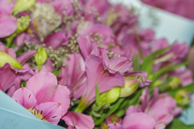 Açık kırmızı orkide buketi yakın çekim.