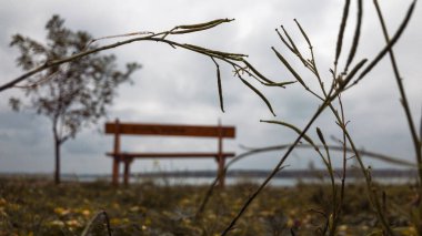 Sonbahar parkında bankta