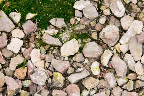 Yeşil Yosun Arkaplan Dokusuna Sahip Breakstone — Stok fotoğraf