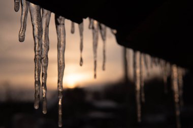 Güzel bulanık arkaplanı olan buz saçakları.