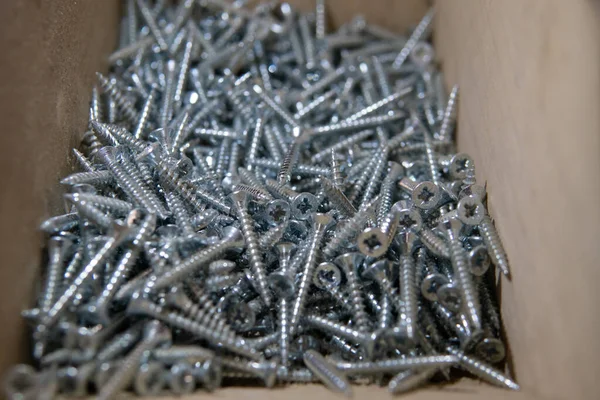 Phillips Head Screw Lot Stainless Steel How Store Screws — Stock Photo, Image