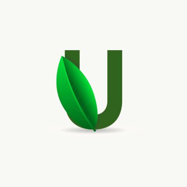 Yapraklı eko logo. Doğa posterleri için vektör yazı tipi, çevre dostu amblem, vegan kimlik, bitkisel ve botanik kartları vs..