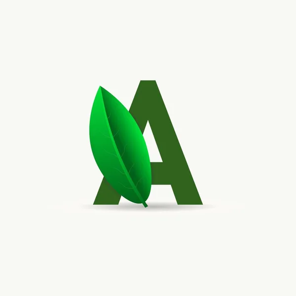 Een Eco Logo Met Blad Vector Lettertype Voor Natuur Posters — Stockvector