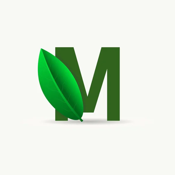 Logotipo Eco Letra Con Hoja Fuente Vectorial Para Carteles Naturaleza — Vector de stock