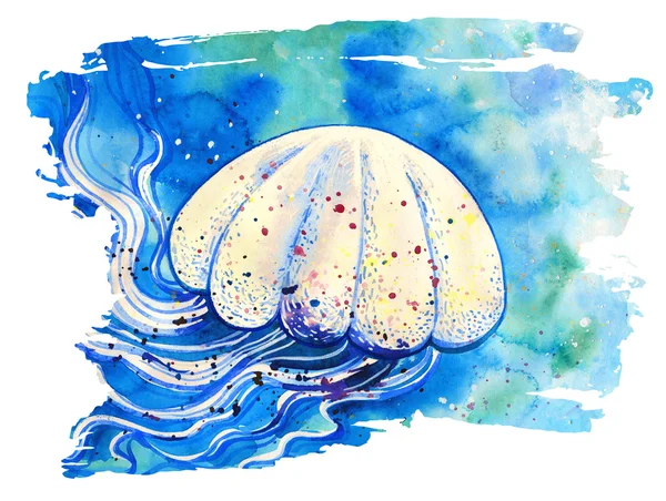 Pittura acquerello medusa — Foto Stock