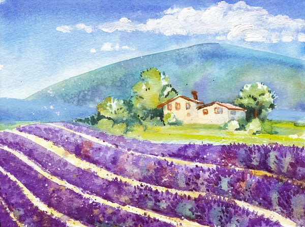 Bellissimi campi di lavanda in fiore con casa in lontananza — Foto Stock