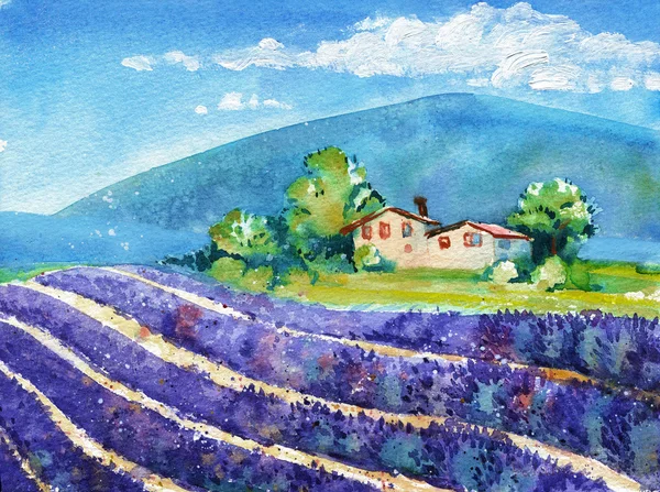 Bellissimi campi di lavanda in fiore con casa in lontananza — Foto Stock