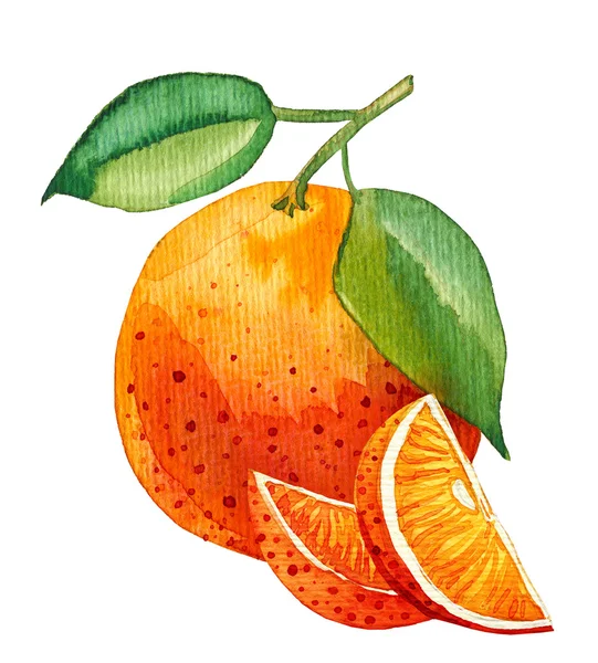 Pintura aquarela de laranja única com poucas fatias — Fotografia de Stock