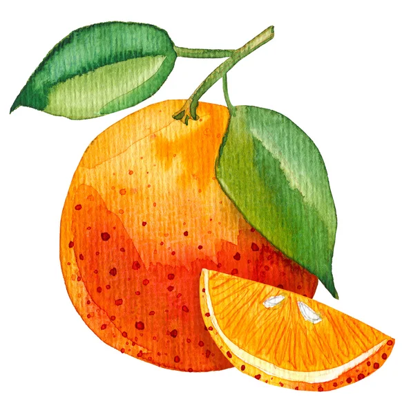 Pintura aquarela de laranja única com uma fatia — Fotografia de Stock