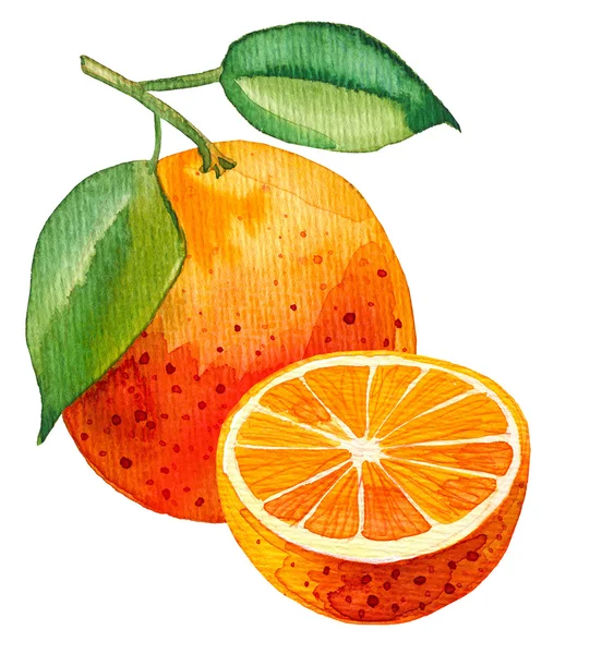 Watercolor painting of single orange with one half — Stock Photo, Image