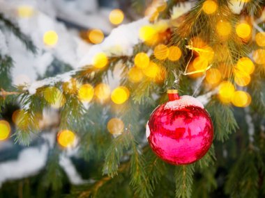 Süslü bir Noel ağacına asılı kırmızı top. Parlak bokeh 'li yeni yıl ziyafeti. Kış tatili geçmişi