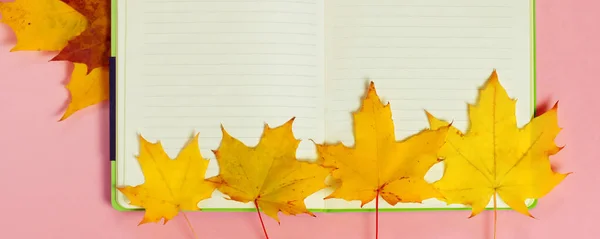 Feuilles Érable Automne Brillantes Avec Carnet Vierge Sur Fond Papier — Photo