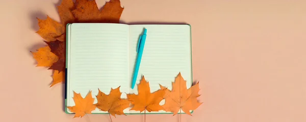 Feuilles Érable Automne Brillantes Avec Carnet Vierge Sur Fond Papier — Photo