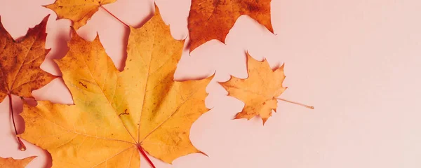Bright Autumn Maple Leaves Beige Paper Background Seasonal Fall Composition — Stock Photo, Image