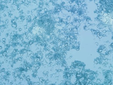 Kış camında buz deseni var. Penceredeki buz dokusu. Soyut doğal arkaplan