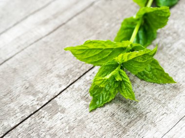 Bahçeden taze nane yaprağı topluyorum. Köhne ahşap masada nane filizi. Organik sebze hasadı .