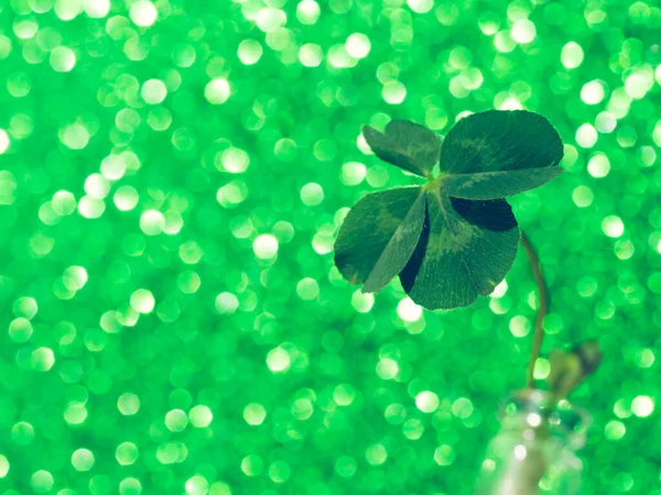 Verde Fresco Con Suerte Trébol Cuatro Hojas Sobre Fondo Verde —  Fotos de Stock