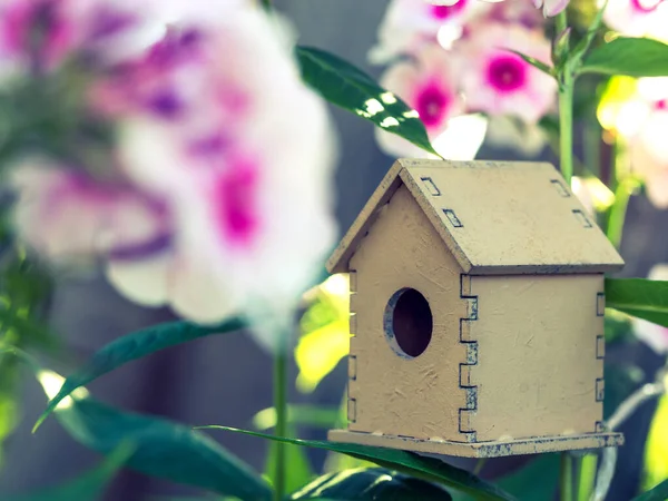 Cute Drewniana Zabawka Ptak Dom Kwitnącym Białym Różowym Phlox Kwiaty — Zdjęcie stockowe