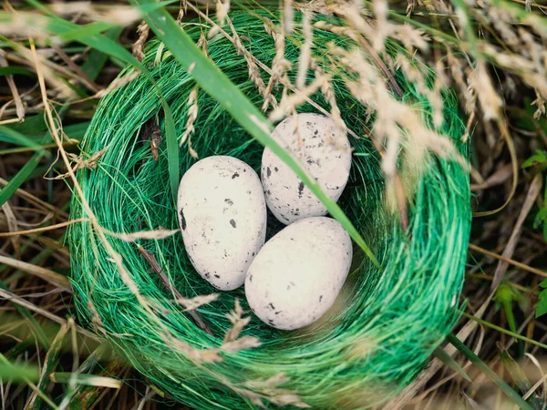 Bird Nest Hidden High Green Grass Three Eggs Concept Family — Stock Photo, Image