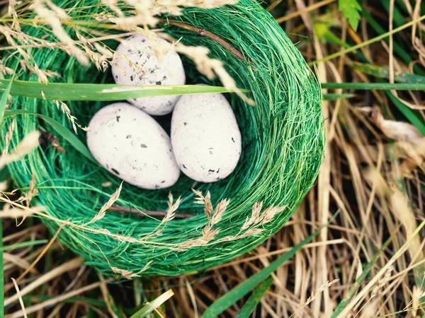 Bird Nest Hidden High Green Grass Three Eggs Concept Family — Stock Photo, Image