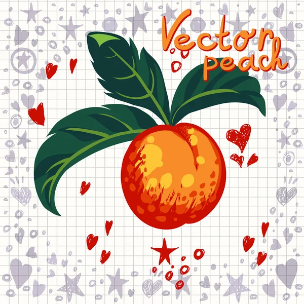 Векторный персик с листьями — стоковый вектор