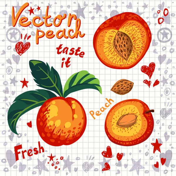 Vektor frischer Pfirsich mit Blättern — Stockvektor