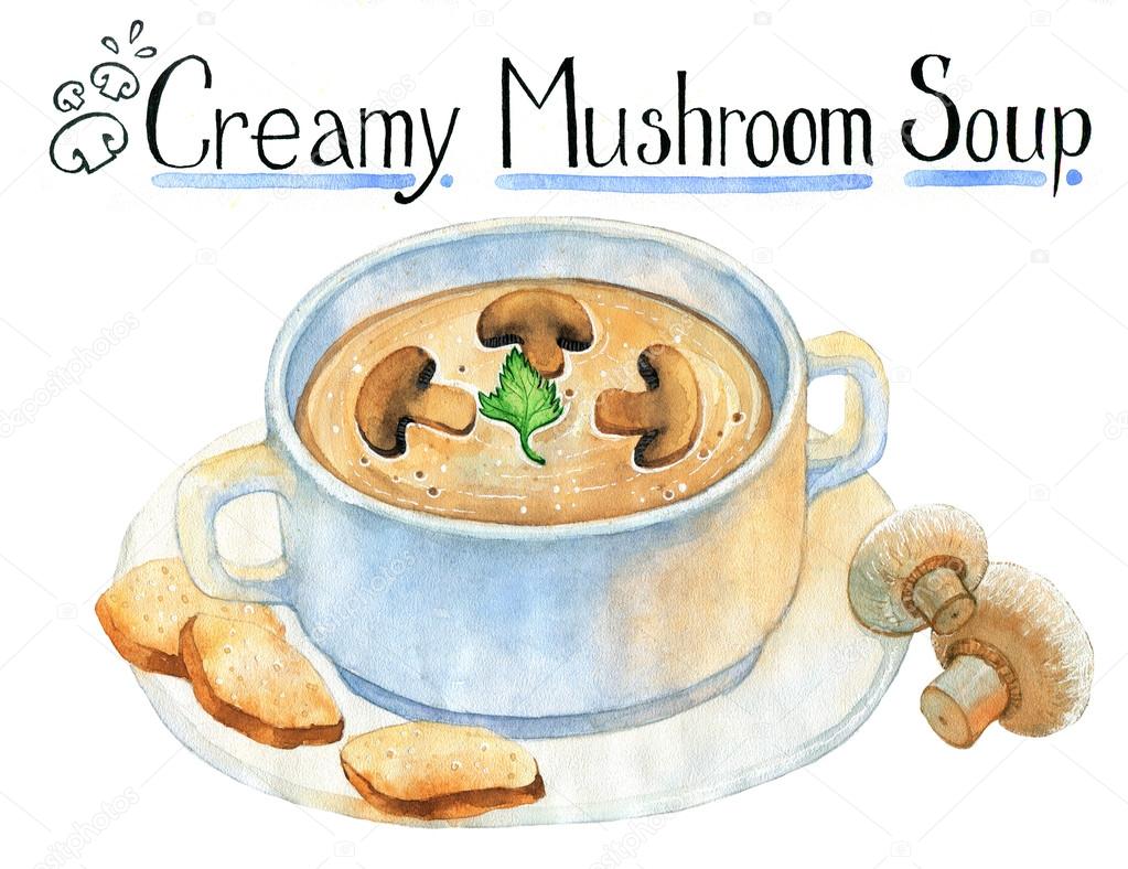 Mushroom cream soup isolated on white