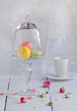 Beyaz ahşap masa üzerinde bir cam tepsi içinde renkli macaroons yakından görmek