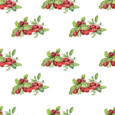 Yaban mersini. Elle çizilmiş suluboya deseni. Parlak, güzel bir iz, tekstil, arka plan. Orman. Pamuk, karmersini, ladin, çam, dal ve koni. Kusursuz çizim, retro, vintage. Yiyecek, sağlıklı yiyecekler, vejetaryenlik.