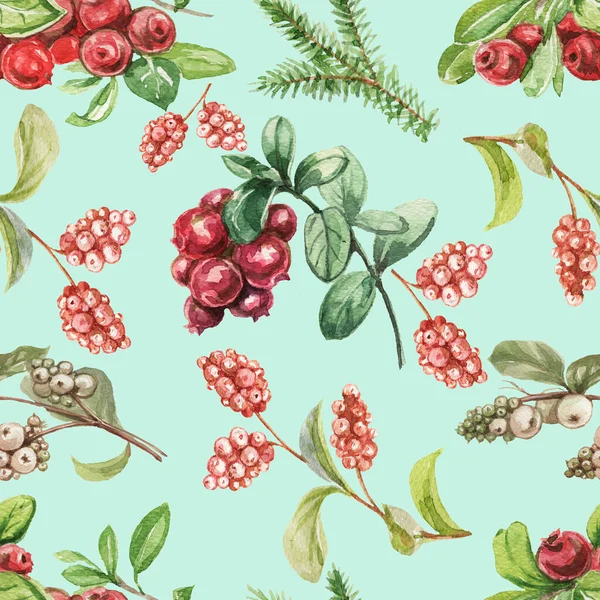 Lingonberry berries. Hand-drawn watercolor pattern. Bright beautiful print, textile, background. forest. Cotton, snowberry, spruce, pine, branches and cones. Seamless pattern Sketch, retro, vintage. Food, healthy foods, vegetarianism