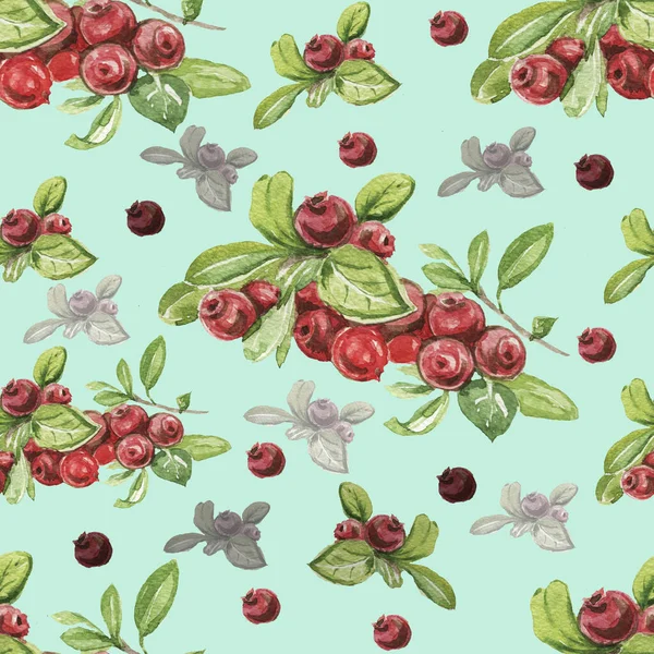 Lingonberry Berries Hand Drawn Watercolor Pattern Bright Beautiful Print Textile — Stock Photo, Image