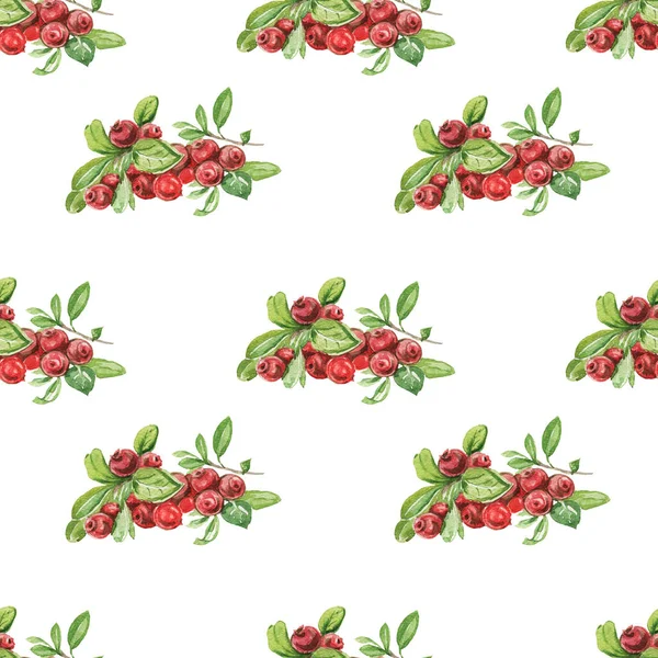 Lingonberry berries. Hand-drawn watercolor pattern. Bright beautiful print, textile, background. forest. Cotton, snowberry, spruce, pine, branches and cones. Seamless pattern Sketch, retro, vintage. Food, healthy foods, vegetarianism — Stock Image Lingonberry Berries Hand Drawn Watercolor Pattern Bright Beautiful Print Textile Stock Image