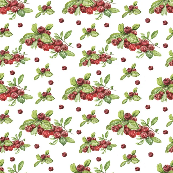 Lingonberry berries. Hand-drawn watercolor pattern. Bright beautiful print, textile, background. forest. Cotton, snowberry, spruce, pine, branches and cones. Seamless pattern Sketch, retro, vintage. Food, healthy foods, vegetarianism — Stock Image Lingonberry Berries Hand Drawn Watercolor Pattern Bright Beautiful Print Textile Royalty Free Stock Photos