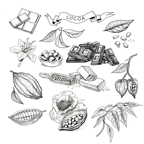 Kakaové Boby Čokoláda Sladkosti Grafické Ručně Kreslené Ilustrace Sada Tisk — Stock fotografie