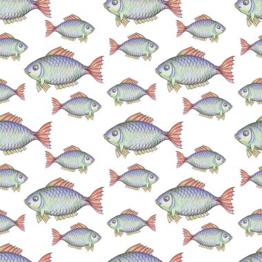 Balık suluboya resmi elle çizilmiş. Balık, su altı dünyası, göl, deniz, nehir, balıkçılık, balıkçılık. Beyaz arkaplanda ayrı bir element var. Tatlım, bebeğim.