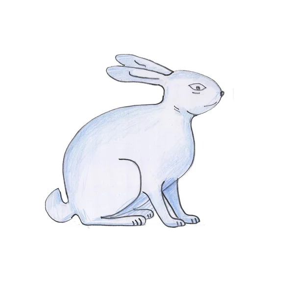 Coniglietto Acquerello Disegnato Mano Illustrazione Isolata Uno Sfondo Bianco Natura — Foto Stock