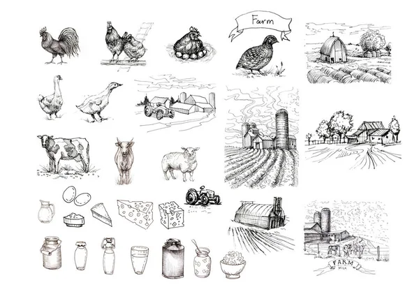 农场动物牛 牛奶罐 图形手绘插图 涂鸦风格 无缝图案 无缝图案 — 图库照片