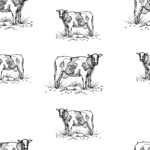 Farmářská Zvířata Krávy Ovce Kuřata Plechovky Mléka Grafické Ručně Kreslené — Stock fotografie
