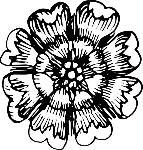 Φύλλα Άκανθος Βικτωριανό Στυλ Μπαρόκ Μπούκλες Γωνίες Γραφική Ζωγραφισμένη Στο — Διανυσματικό Αρχείο