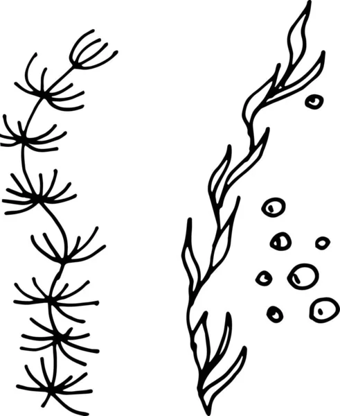 Mořské Jídlo Ryby Korýši Krabi Lahůdky Grafická Ilustrace Ručně Kreslená — Stockový vektor