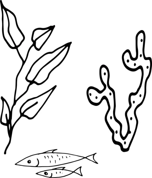 Printsea Food Fish Shellfish Crabs Delicacies Grafická Ilustrace Ručně Kreslená — Stockový vektor