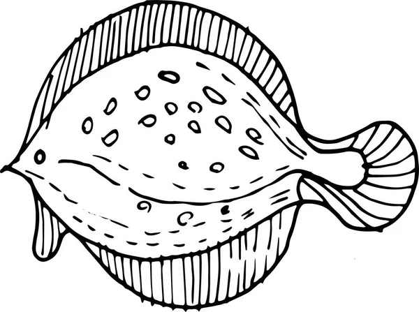 Printsea Food Fish Shellfish Crabs Delicacies Graphic Illustration Hand Drawn — Stock Vector