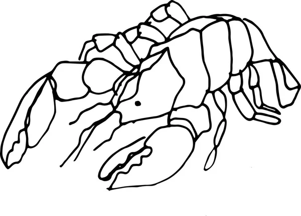 Imprimernourriture Mer Poissons Crustacés Crabes Spécialités Illustration Graphique Dessinée Main — Image vectorielle