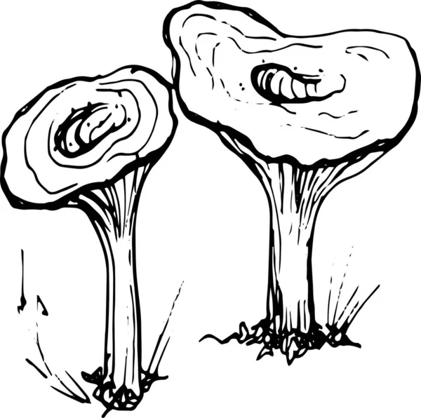 Гриби Грибне Меню Графічна Ілюстрація Намальована Вручну Безшовні Візерунки Гравюра — стоковий вектор