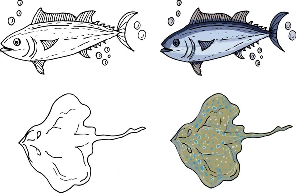 Fruits Mer Poissons Crustacés Crabes Spécialités Illustration Graphique Dessinée Main — Image vectorielle