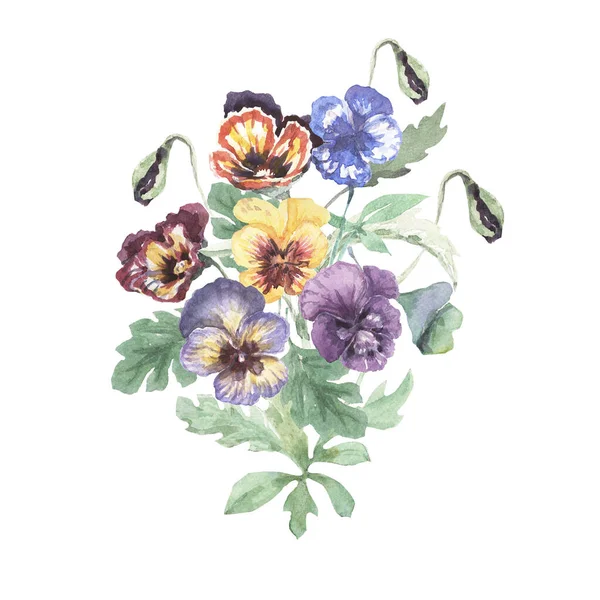 Πανσέδες Λουλούδια Άνθη Χλωρίδα Απρόσκοπτη Μοτίβο Εκτύπωση Ύφασμα Ζωγραφισμένη Στο — Φωτογραφία Αρχείου